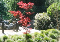 Japanese Friendship Garden San Jose 10.JPG
